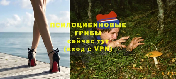 спайс Белокуриха