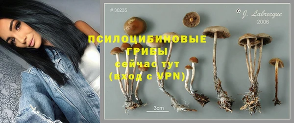 spice Белоозёрский