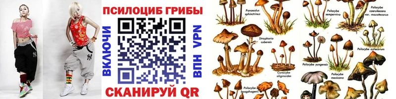 Купить где  Снежинск  Псилоцибиновые грибы мицелий 