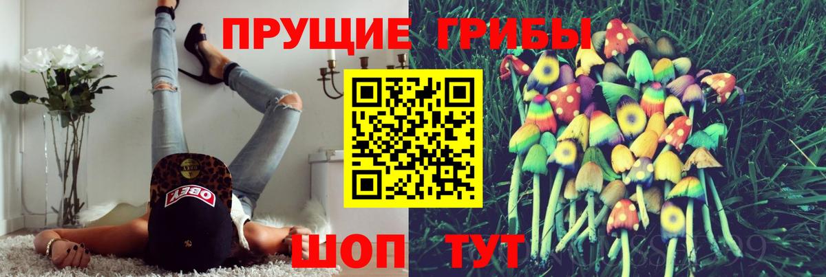 Снежинск  Галлюциногенные грибы Magic Shrooms  Вход с VPN 